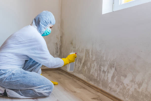 Health and Safety Mold Remediation