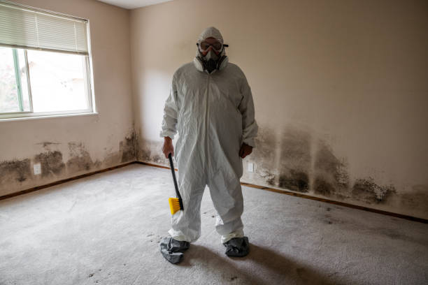 Best Emergency Mold Remediation in Pasco, WA
